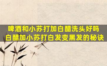 啤酒和小苏打加白醋洗头好吗 白醋加小苏打白发变黑发的秘诀